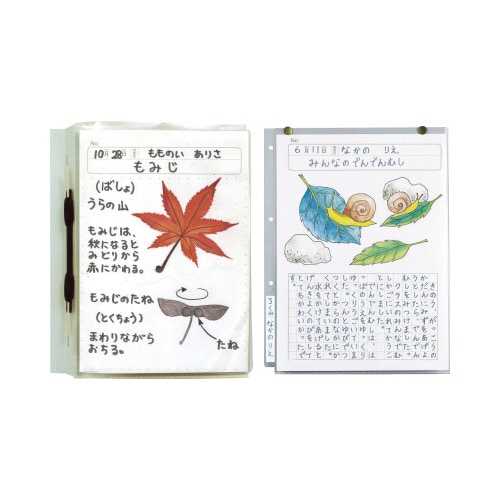 透明掲示ホルダー A4