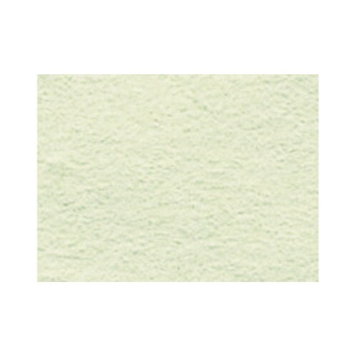 ニューカラー4切100枚 133 メロン