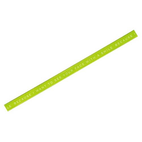 レターワイヤータイ 2 Lグリーン 100本入×2