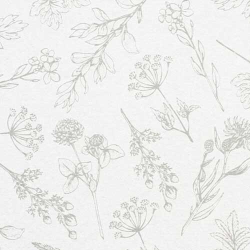 デザインラッピングペーパーベルプランツ100枚×2