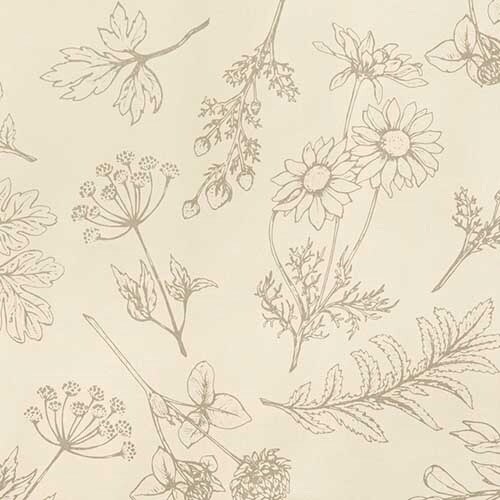 ベルプランツ包装紙1 半紙 50枚入×2