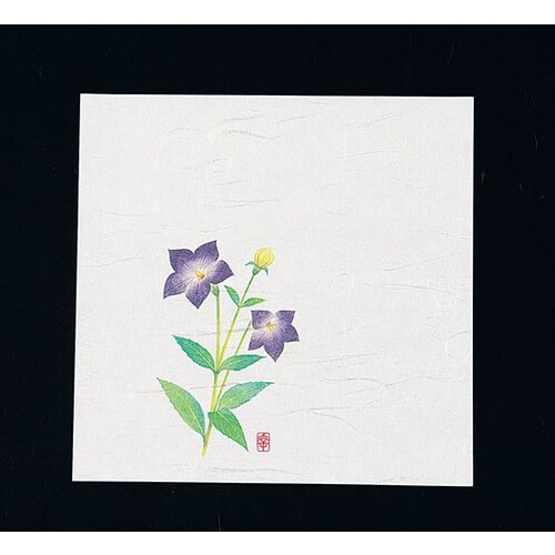 ニュー四季懐紙5寸(100枚入)ききょう