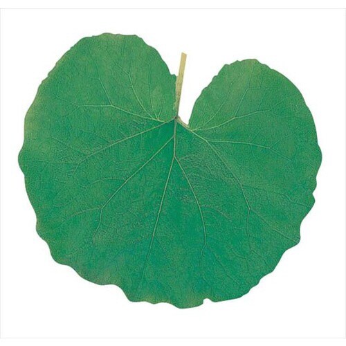 型抜きクリアシート(200枚入) ミニ・ふき