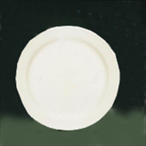 ブライトーン(ホワイト)ミート皿23cm