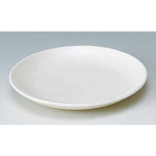 カジュアルウェア 浅プレート 16.5cm