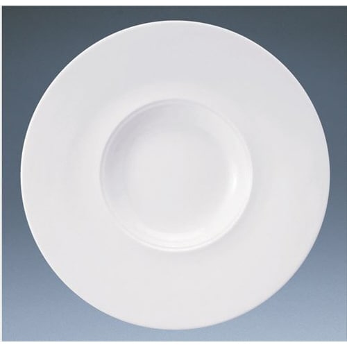 パティア27cmワイドリムステッププレート