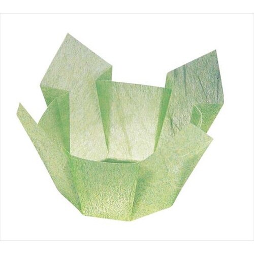 両面 OP珍味入 大(100枚入) 若草雲竜