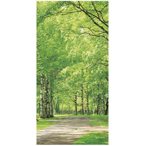 白樺並木タペストリー(防炎加工)