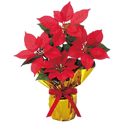 ポインセチアバリューラッピングポット ×2個