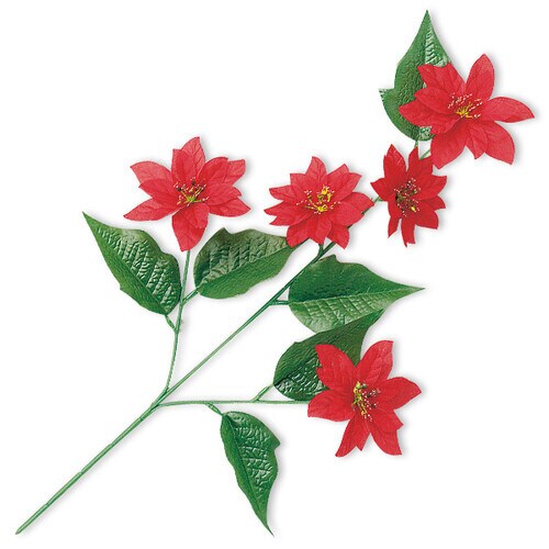 ポインセチアスプレー(5輪) ×2本