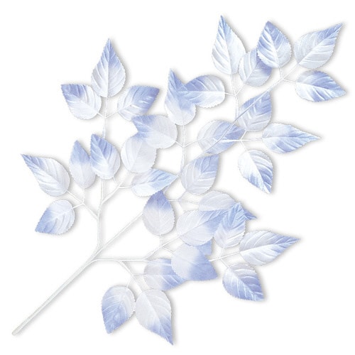 ウインターリーフスプレー ×5本