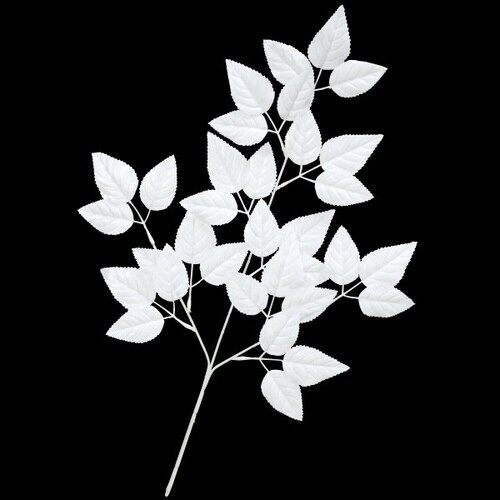 ホワイトリーフスプレー ×5本