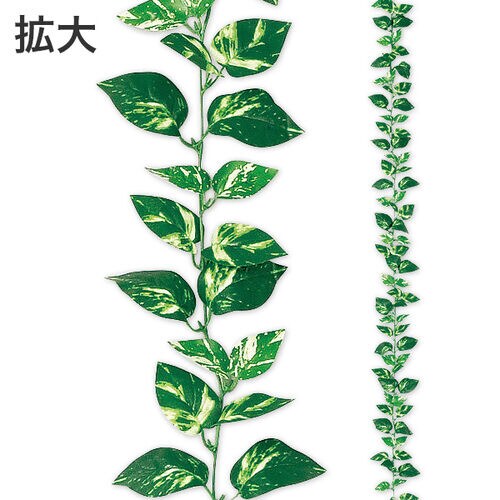 ポトスガーランド ×2本