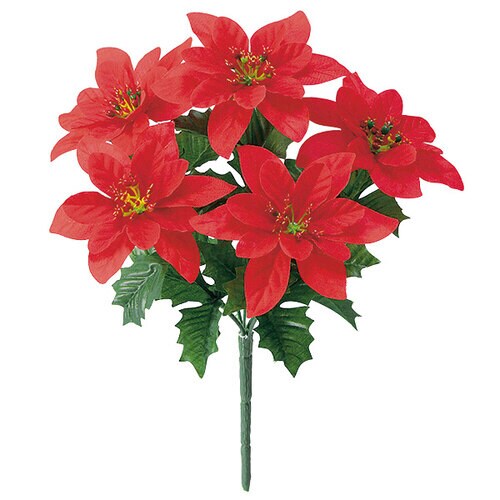 ポインセチアブッシュ ×2本