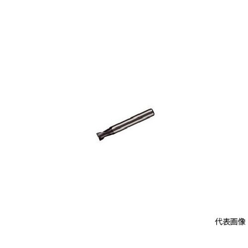 小径エンドミル MS2ESD1000L45S07