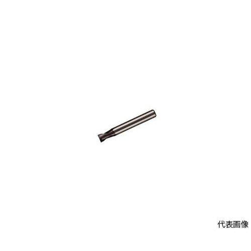 小径エンドミル MS2ESD1200L45S10