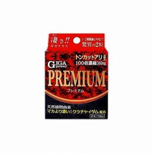 ギガパワープレミアム 2錠