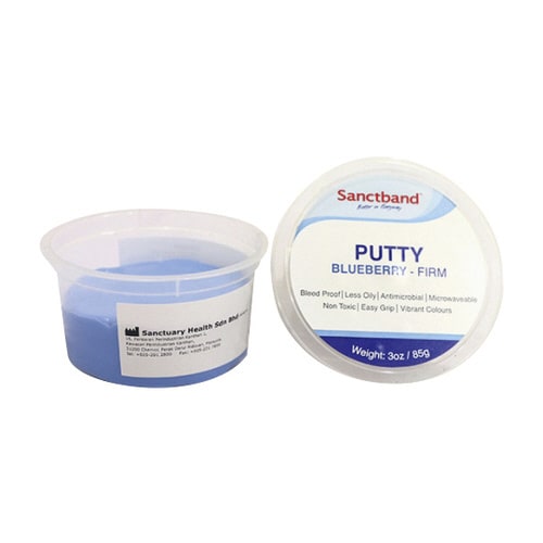 パテ(ブルーベリー)