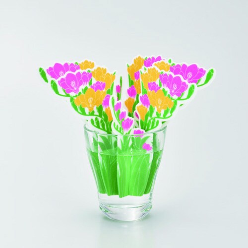 どこでもモイスチャー フリージア×7