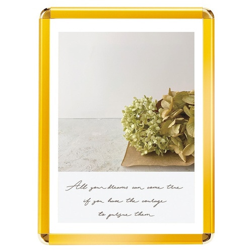 フロントオープンパネル ゴールド B1