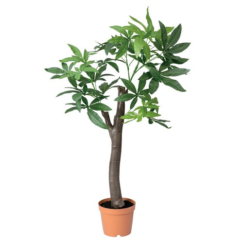 パキラ (人工樹木) 朴の木タイプ