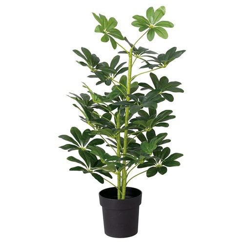 ヤドリフカノキ(人工樹木)