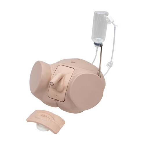 導尿シミュレータープロセット P93SPC−S