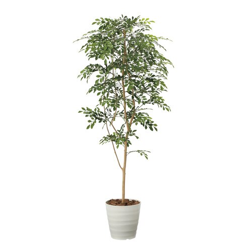 人工樹木 トネリコ FGN−TN18