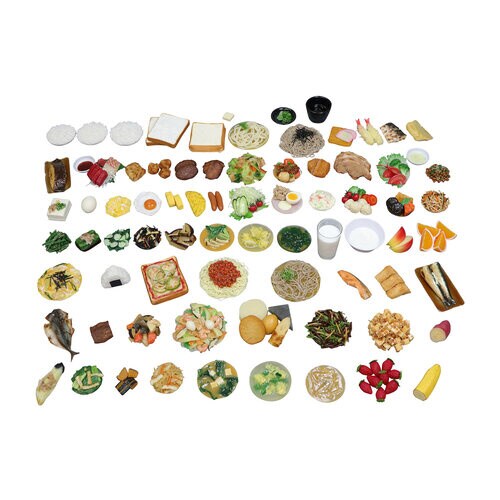 調理交換モデル SKM−75 75品セット