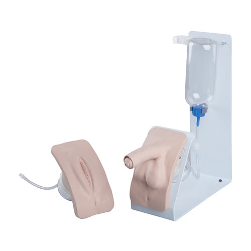 導尿シミュレーターベーシックセット