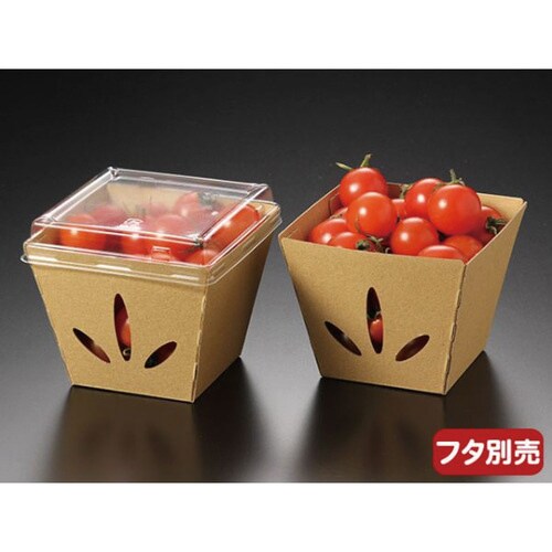 テ−パ−ボックス11−11 未晒