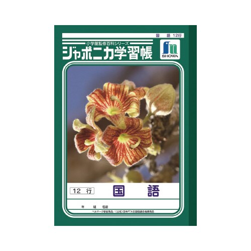 ショウワジャポニカ学習帳B5JL11−1×20
