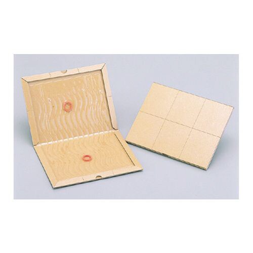 グルット 100枚入