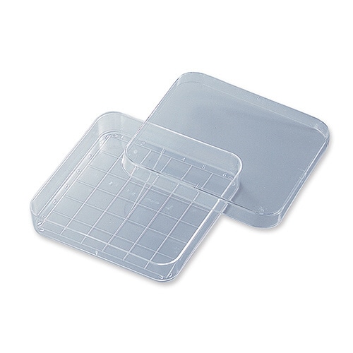 プロビオペトリディッシュ