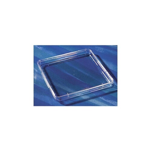 スクエアディッシュ無処理 5個/パック×4パック