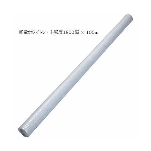 ホワイトシート原反