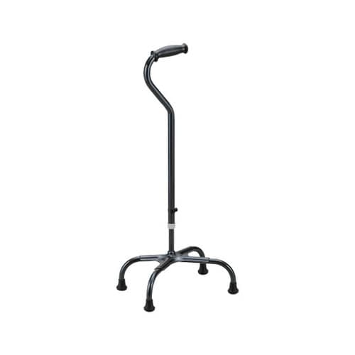 テトラ・ケイン ラージベース 青墨 S