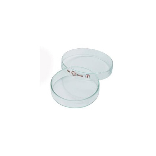 硝子シャーレ φ90