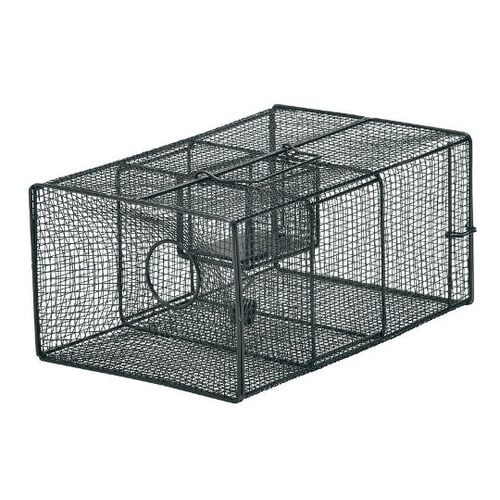 栄ヒルズ ネズミ捕り