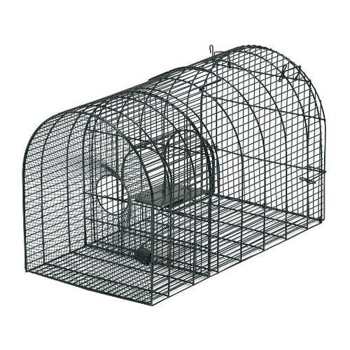 栄ヒルズ ネズミ捕り