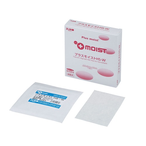 プラスモイストHS−W 80×120mm 10枚入