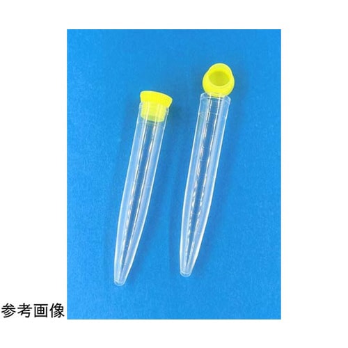 沈渣スピッツ10型