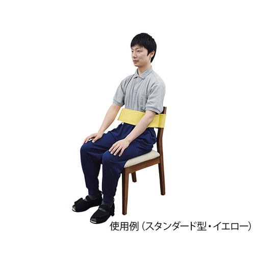 トランスポートベルト スタンダード型 M イエロー