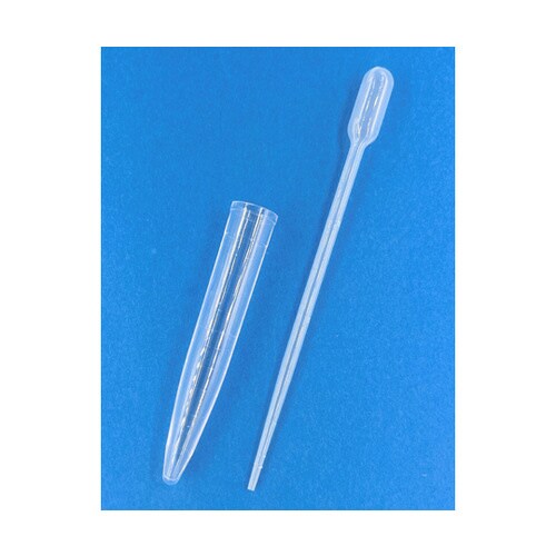 沈渣スピッツ10型