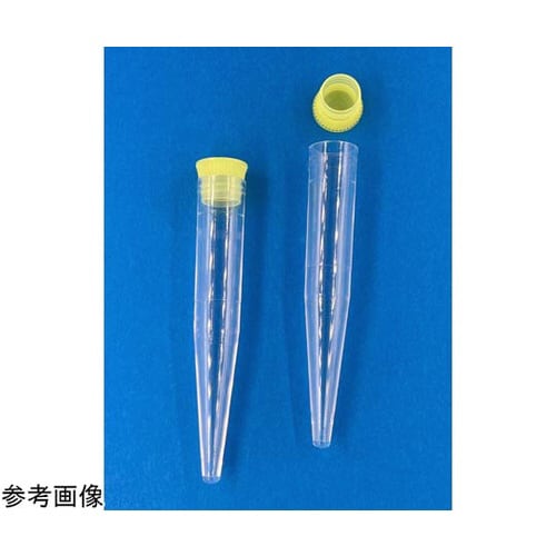 尿沈渣スピッツKR