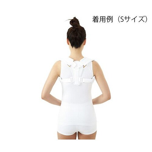 クラビクルスプリント