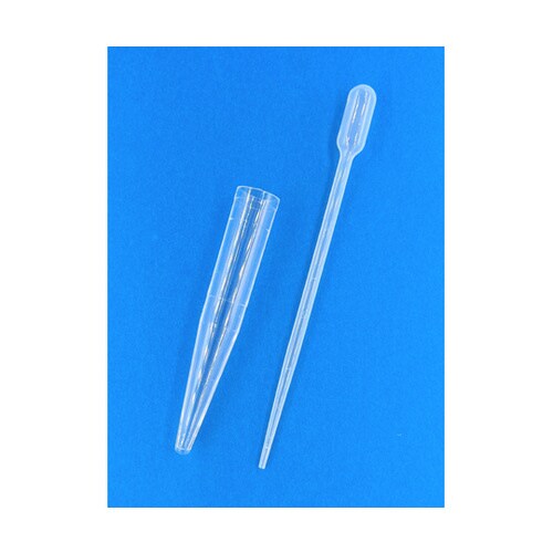 尿沈渣スピッツ2号