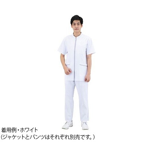 メンズパンツ ホワイト LL