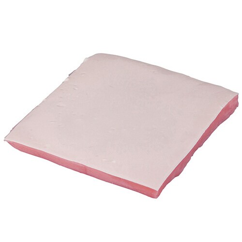 訓練用モデル(ナビトレ) 電気メス用シートゲル