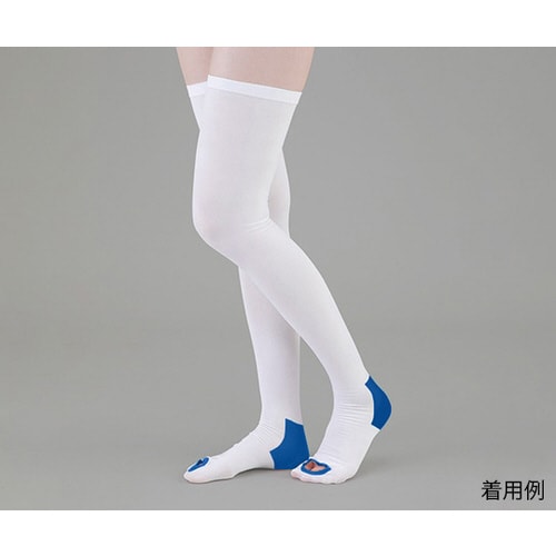 弾性ストッキング(ベーシック) ストッキング L